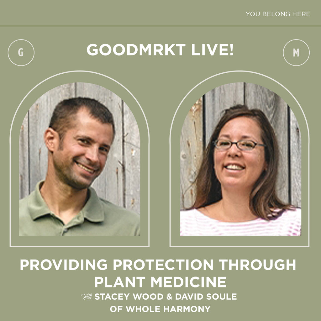 Providing Protection through Plant Medicine with Stacey Wood and David Soule of Whole Harmony